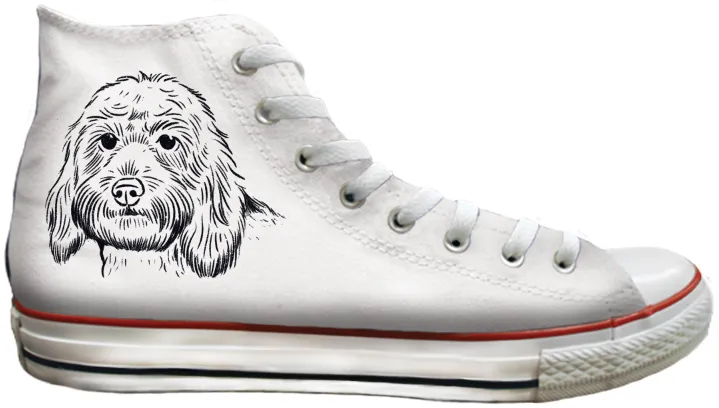 Baggins Original Hi top Labradoodle School Ready