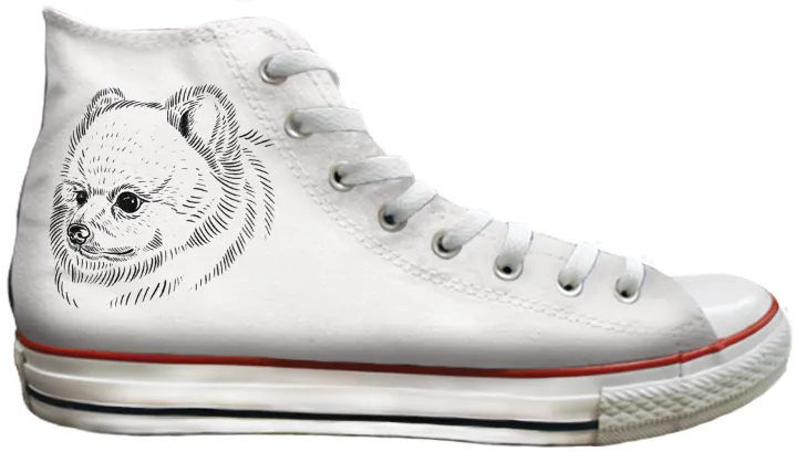 Campus Run travel mode Baggins Original Hi top Pomeranian