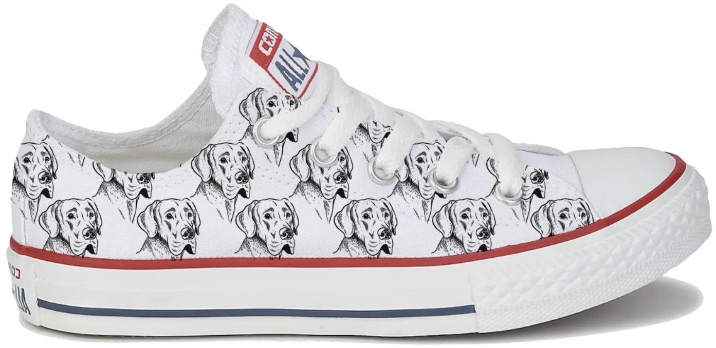 Baggins Original Low top Great Dane Noon Walk
