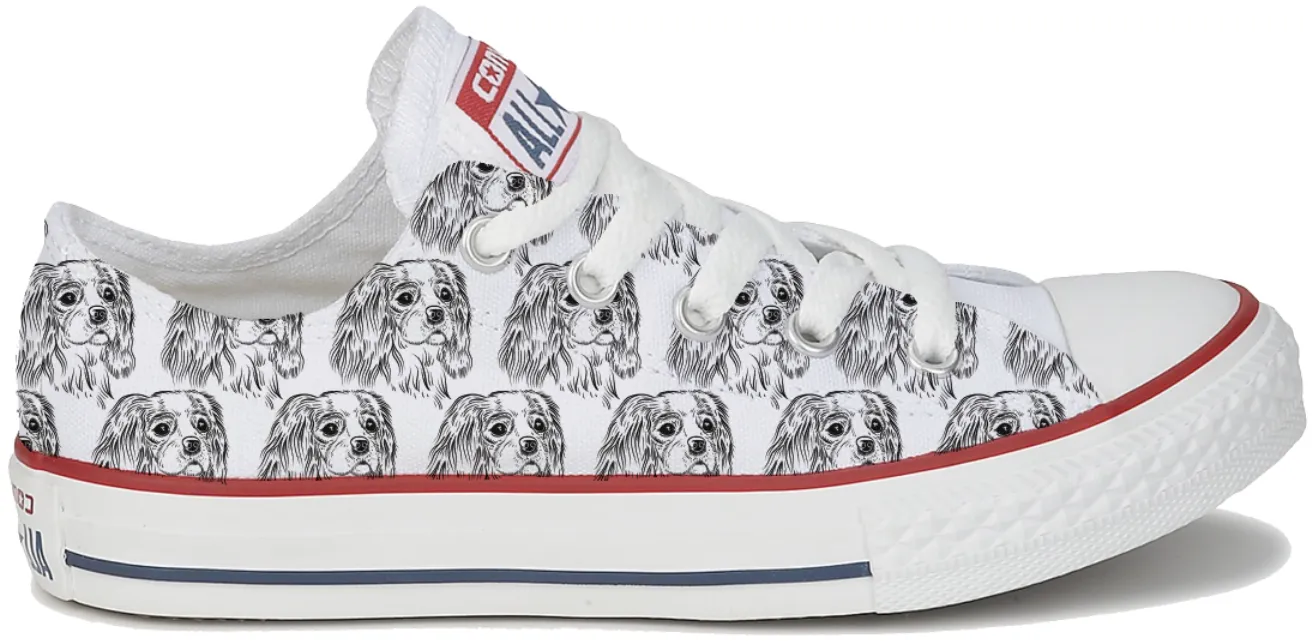 Quick Move Baggins Original Low top King charles cavalier