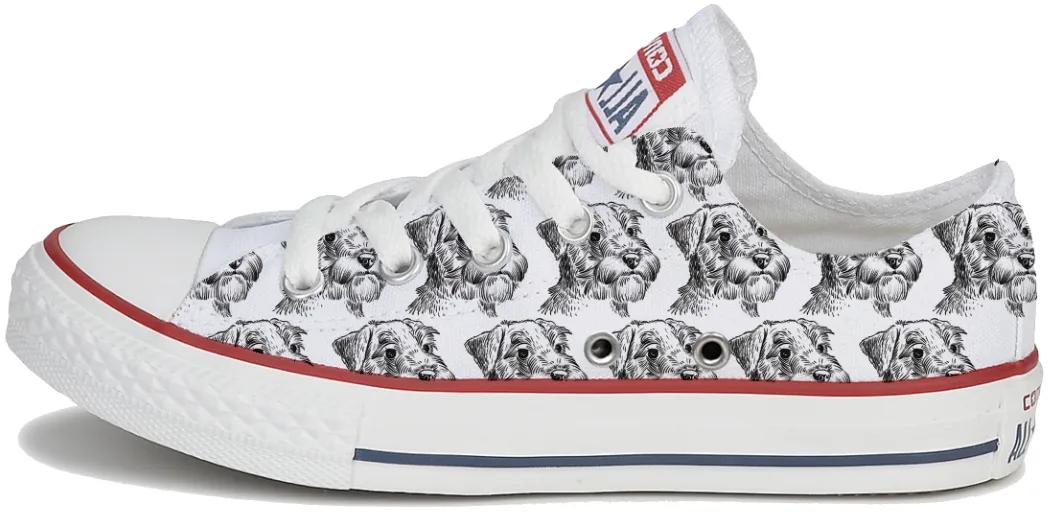 Baggins Original Low top Schnauser Soft Move Lace Up Design