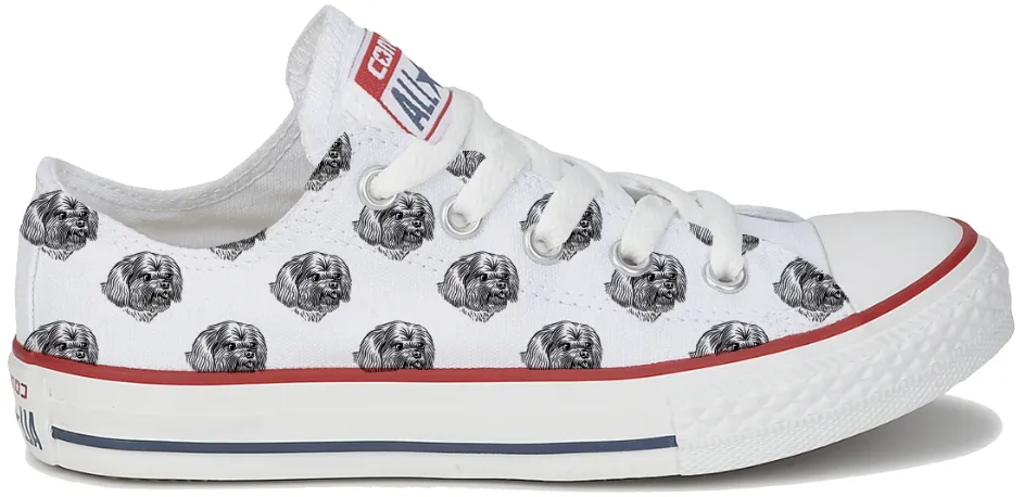 Baggins Original Low top Shih Tzu Senior Wear Harbor Stroll