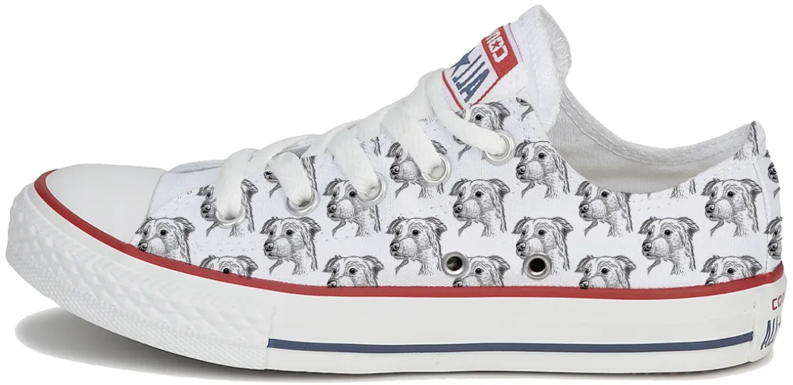 Baggins Original Low top Border Collie Lace Up Style Breathable Canvas