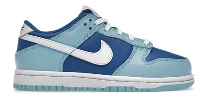 Nike Dunk Low Argon (2022) (PS) ergo fit
