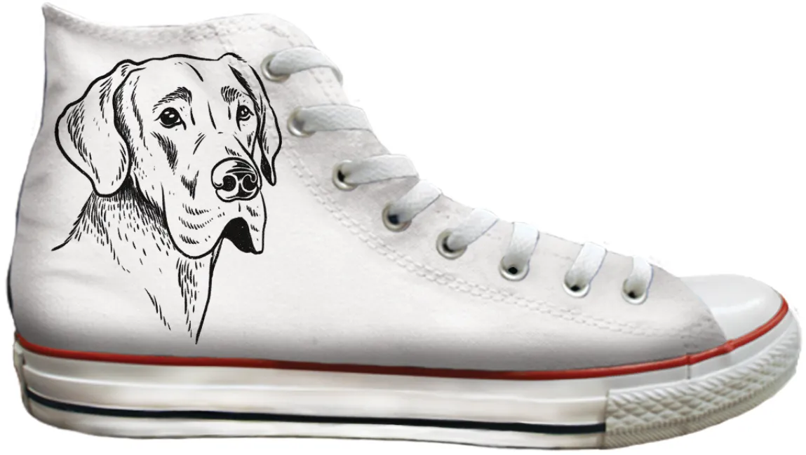 Everyday Wear Fit Feel Baggins Original Hi top Great Dane
