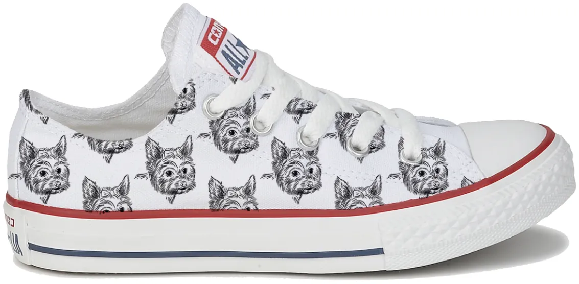 Baggins Original Low top Yorkshire Terrior Slow Hike