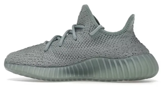 Step Relief Adjustable Tongue adidas Yeezy Boost 350 V2 Salt